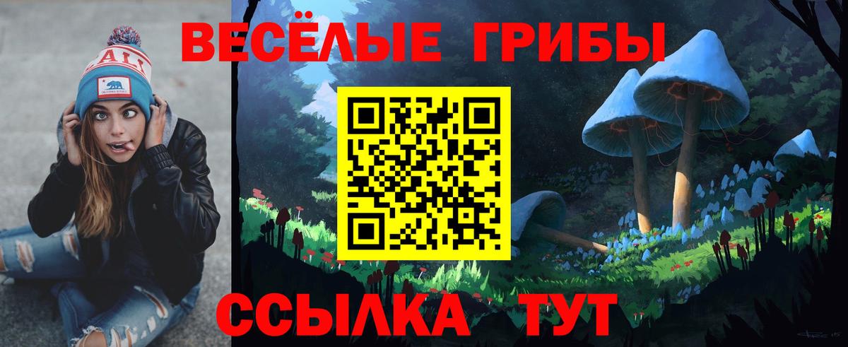 Зеленодольск  Галлюциногенные грибы Psilocybine cubensis  Псилоцибиновые грибы MAGIC MUSHROOMS  Вход с VPN 